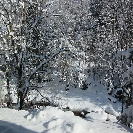 Diosaz Chalet *